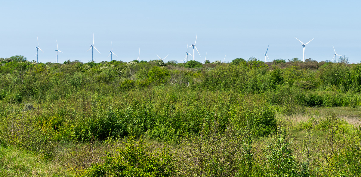 natuur Gaasperzoom